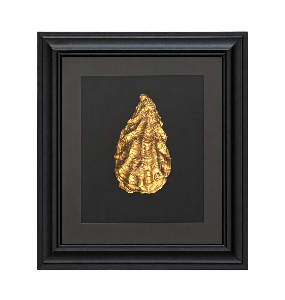 Zeeuwse Schelp — Uniek Object 09